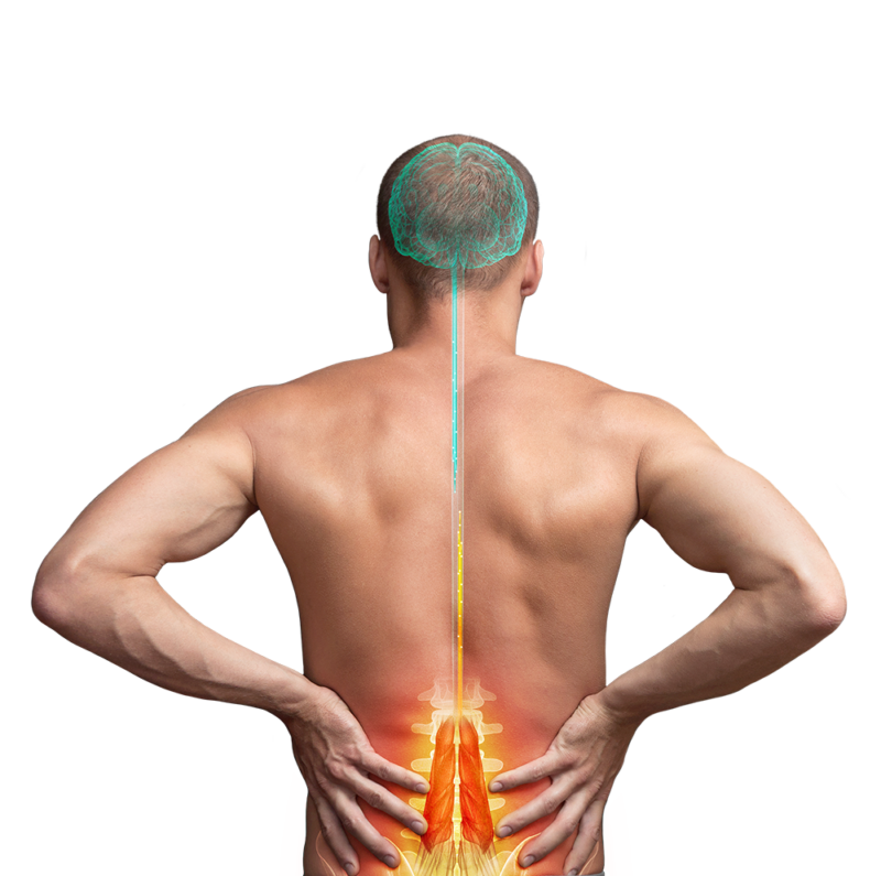 Man holding back with pain and having multifidus muscle dsyfunction