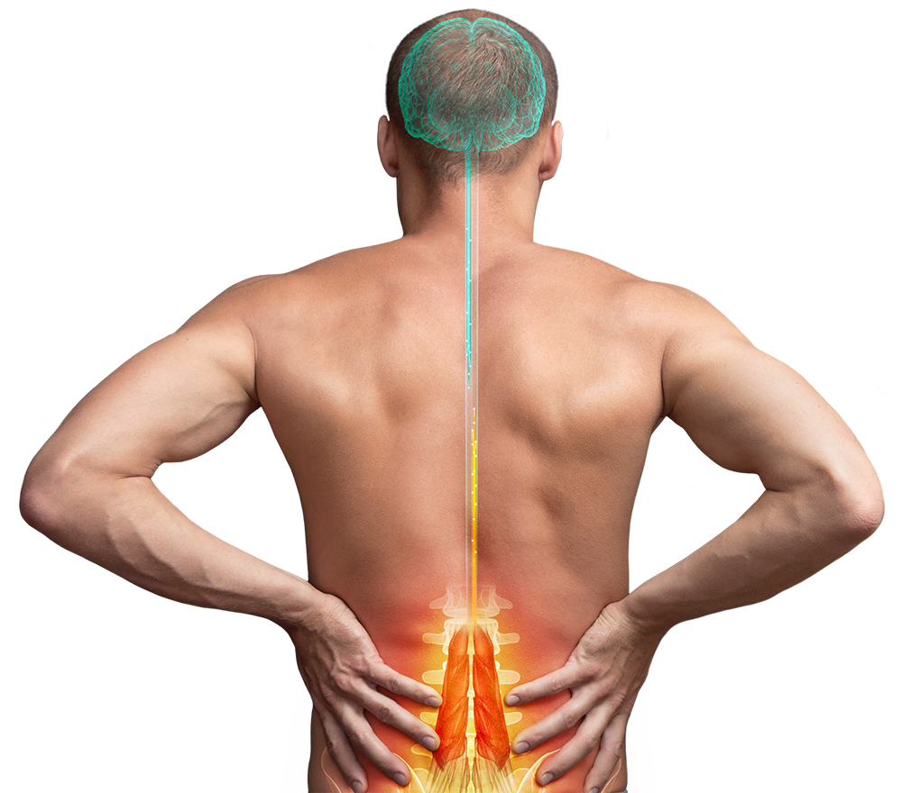 lower-back-pain-symptoms-causes-treatment