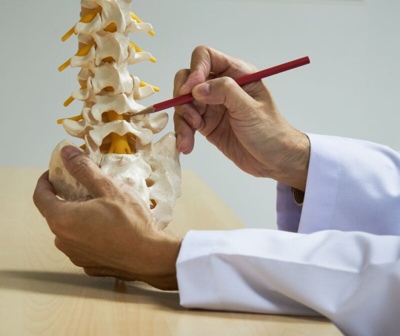 The Lumbar Spine Anatomy: A Comprehensive Guide to the Back Muscles ... Biology Diagrams